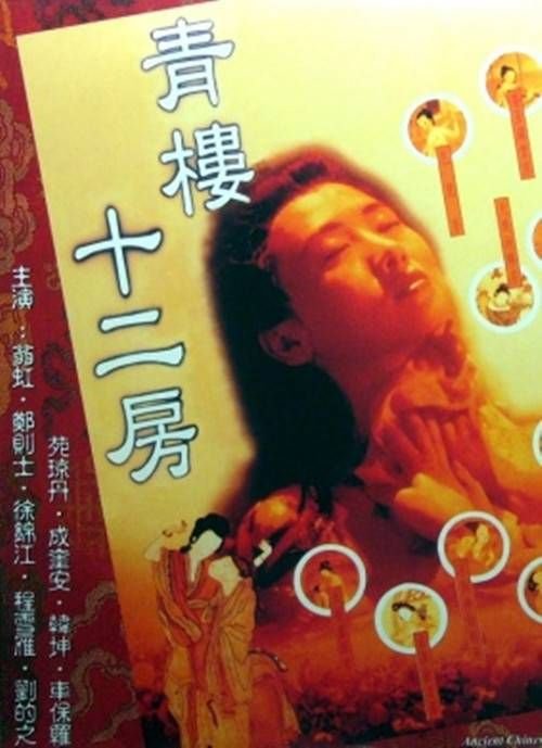 《青楼十二房 豆花视频 在线观看免费高清电视剧全集》1994 海报