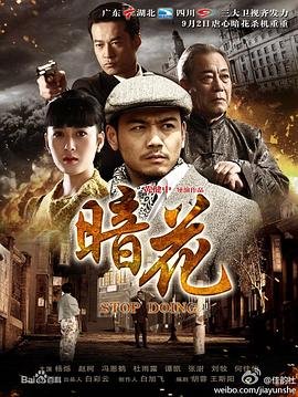 《暗花电影国语版高清》2012 海报