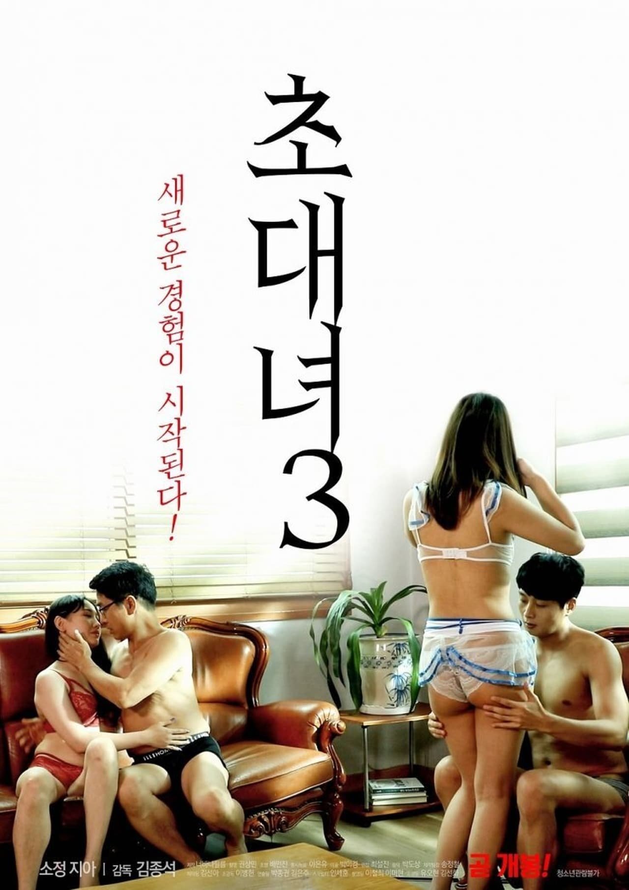 《女士邀请函3》电影在线免费观看(2026/完整版/HD国语） (2020) 海报