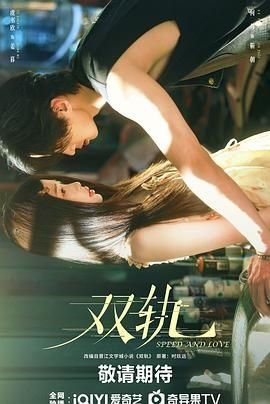 《《双轨》电视剧免费观看全集高清完整版原声全集》2025 海报