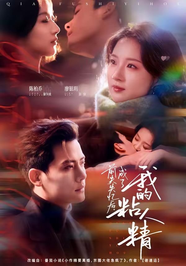 前夫失忆后，成了我的粘人精