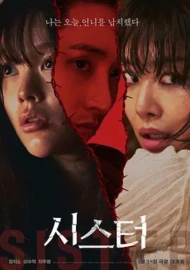 姐妹第6集在线观看高清播放 (2026) 海报