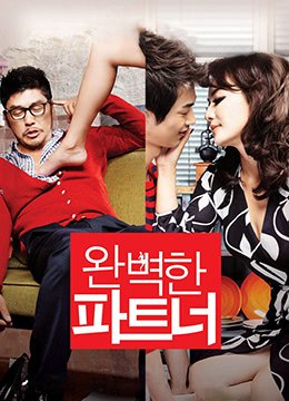 完美搭档韩剧免费观看全集在线观看 (2011) 海报