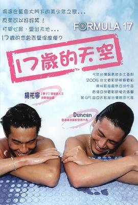 《十七岁的天空 》韩剧免费在线播放高清完整版无广_经典片 (2004) 海报