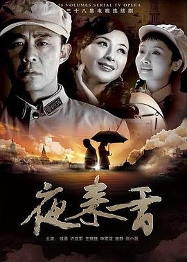 《夜来香高清免费观看电视剧01集》2008 海报