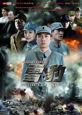 电视剧《雪豹1》免费在线观看高清完整版 (2010) 海报
